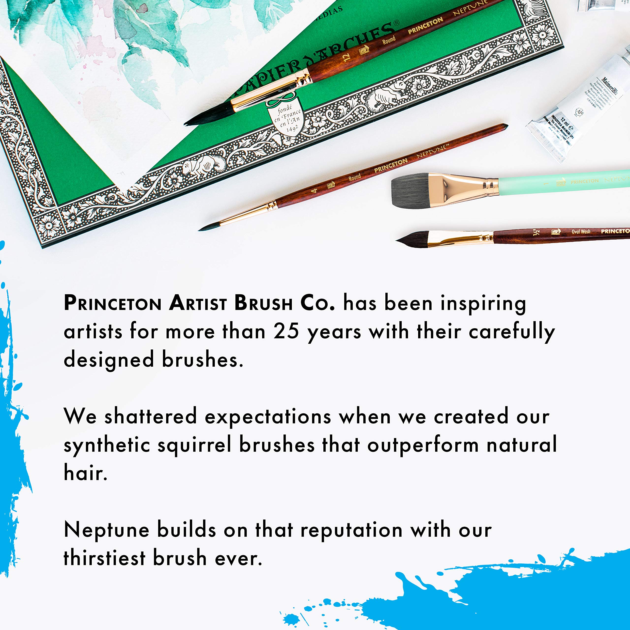 Princeton Artist Brush, Neptune Series 4750, Synthetic Squirrel Watercolor Paint Brush, Script Liner, Size 1 - Image 7